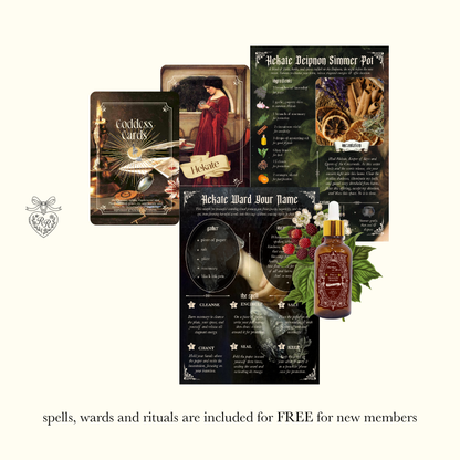 New Subscriber Spell Offer